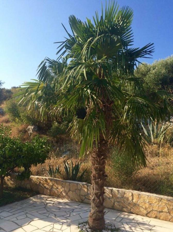 Villa Lavendel Trogir Extérieur photo